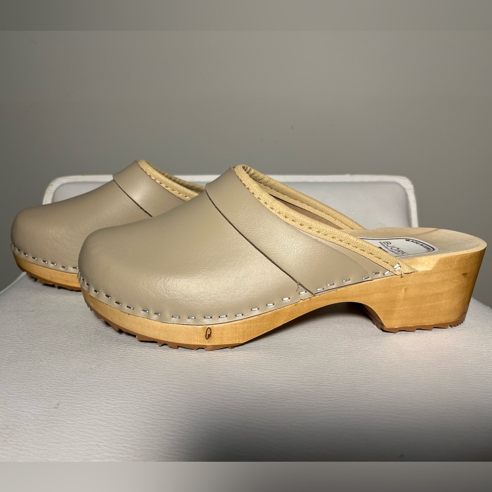 NWOT Bjork Wooden Clogs